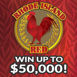 RHODE ISLAND RED