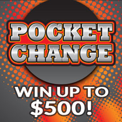 POCKET CHANGE