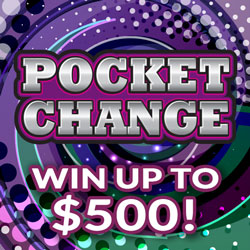 POCKET CHANGE